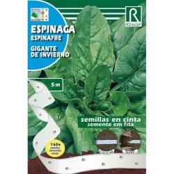 Sementes Espinafre (4g)...