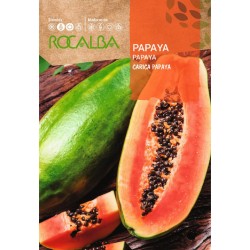 Sementes Papaia (4g) Rocalba