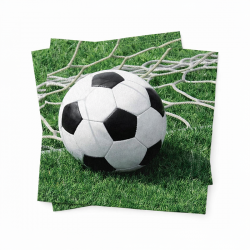 Guardanapos de papel...